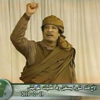 Ein Beduine als Paradiesvogel