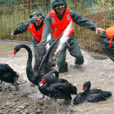Shanghai wartet auf den Taifun