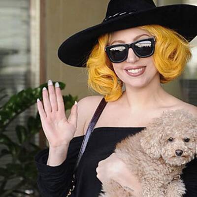 Lady Gaga - Ankunft in Wien