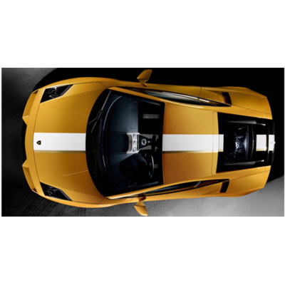 Gallardo LP 550-2 Valentino Balboni