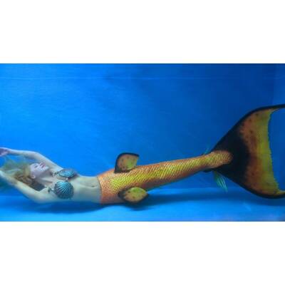 Melissa ist die einzige Meerjungfrau der Welt!