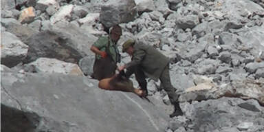 Brutale Gamsjagd - Schütze ausgeforscht