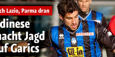 Udinese macht Jagd auf Garics
