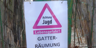 Gatterjagd