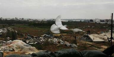 Israels Armee vollständig aus Gazastreifen abgezogen