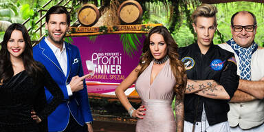 Das perfekte Promi-Dinner