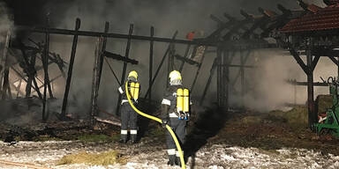 Gro&szlig;brand im Waldviertel: 65 Schafe verendet