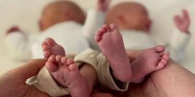 Benjamin eder mari eder