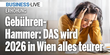 Gebühren-Hammer: DAS wird 2026 in Wien alles teurer