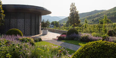 DPU vergibt Gratis-Stipendien f&uuml;rs Medizinstudium