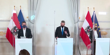 gecko quarantane.png