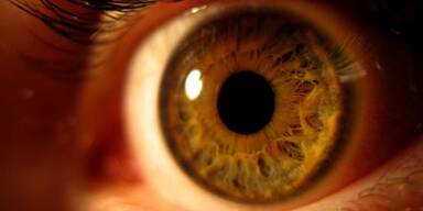 Wissenschafter ermöglichen Gedankenlesen