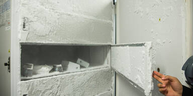 5 Kinder tot in Gefriertruhe gefunden