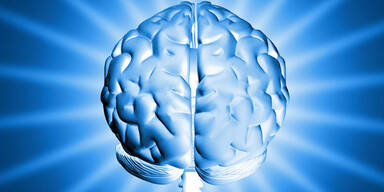 Wiener sind die schlauesten Österreicher