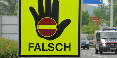 Lenker drehte auf Welser Autobahn um