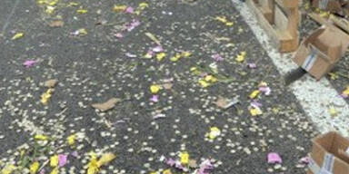 Geldtransporter verliert 2 Mio in Münzen