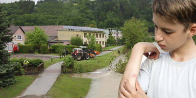 Gelsen vermehren sich explosionsartig