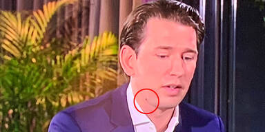 Gelsen-Attacke auf Kurz bei Sommergespräch