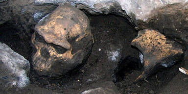 Stammen wir von wem ganz anderen ab?