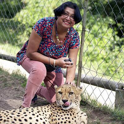 Geparden-Attacke in Port Elisabeth 