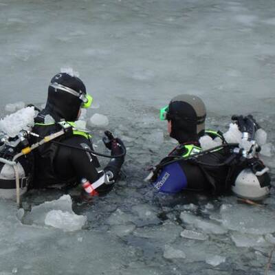 Geparde in Eis eingebrochen