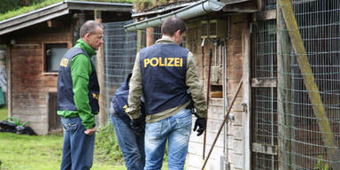 2 Geparden hielten Salzburg in Atem