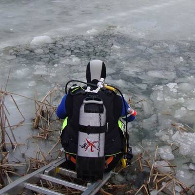 Geparde in Eis eingebrochen