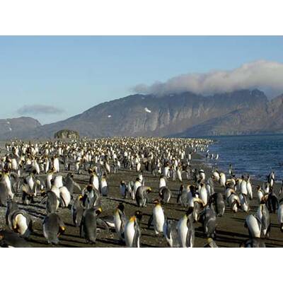 Die besten Urlaubsfotos