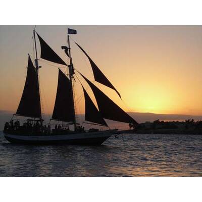 Die neuesten Urlaubsfotos