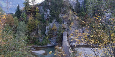 72-J&auml;hriger st&uuml;rzt beim Rasenm&auml;hen ab - tot