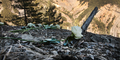 Germanwings-Katastrophe: Gedenken an die Opfer