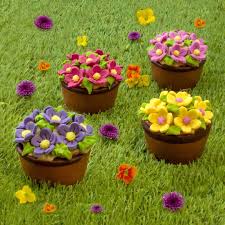 Gerstner Blumenkörbchen