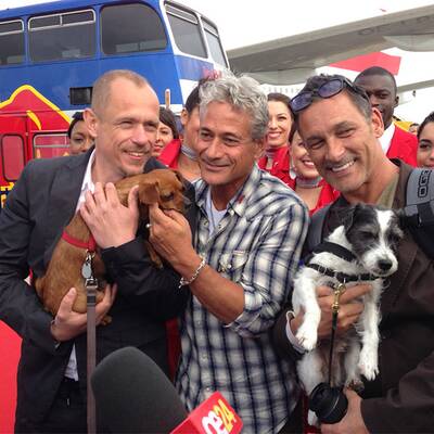 Die Ankunft der Life Ball Stars