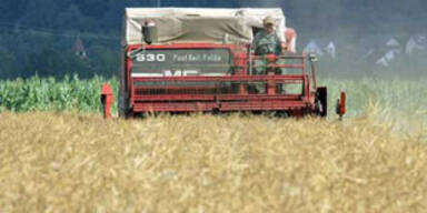 getreide_ernte_dpa_10125a