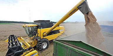 Mieseste Getreideernte seit 40 Jahren