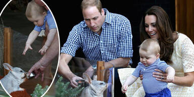 Herzogin Kate & Prinz William besuchen Taronga Zoo