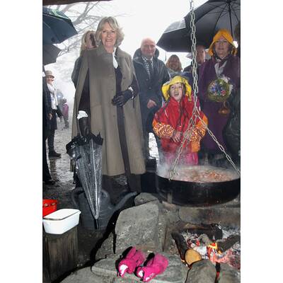 Charles & Camilla: Holzhacken in Norwegen