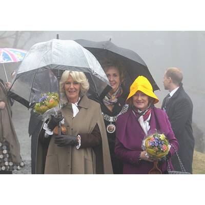 Charles & Camilla: Holzhacken in Norwegen