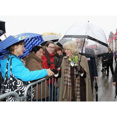 Charles & Camilla: Holzhacken in Norwegen