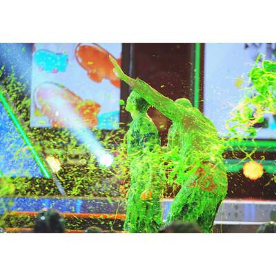 Die Stars der Kid's Choice Awards