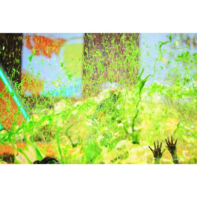 Die Stars der Kid's Choice Awards