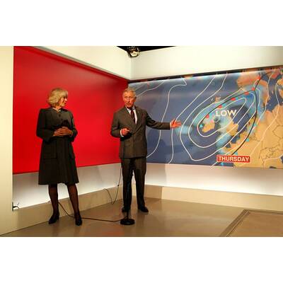 Prinz Charles als Wetterfrosch