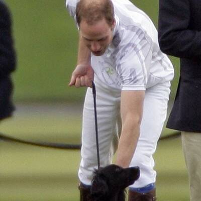 William & Kate: Ganz vernarrt in Hündchen Lupo