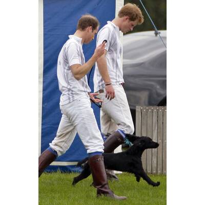 William & Kate: Ganz vernarrt in Hündchen Lupo