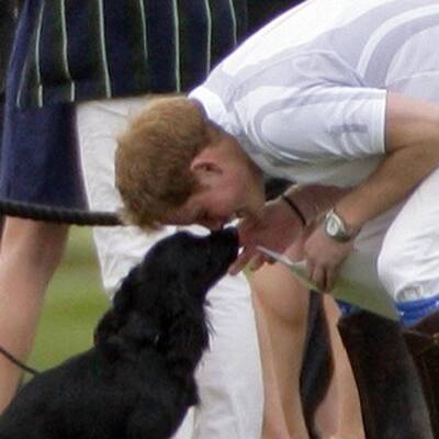 William & Kate: Ganz vernarrt in Hündchen Lupo