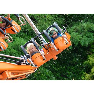 Süß: Zuma & Kingston fahren Achterbahn