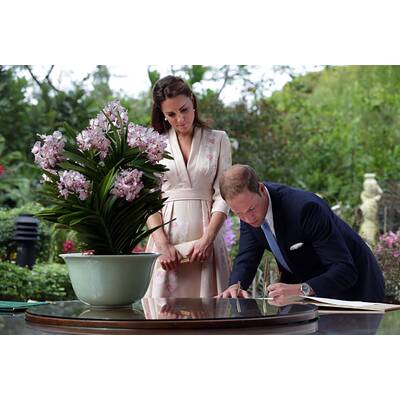 William & Kate verzaubern Singapur