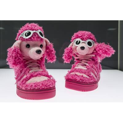 Experimentelles Schuh-Design