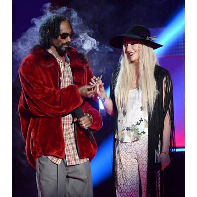 MTV Movie Awards 2013: Alle Stars