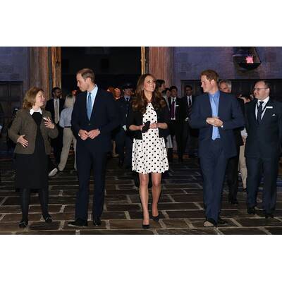 Kate, William & Harry im Harry Potter-Fieber